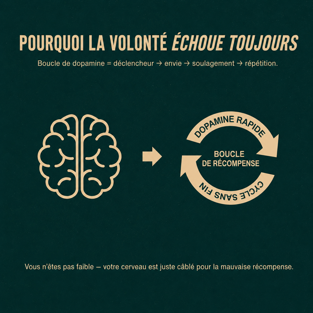 Ta meilleure vie intime, sans effort